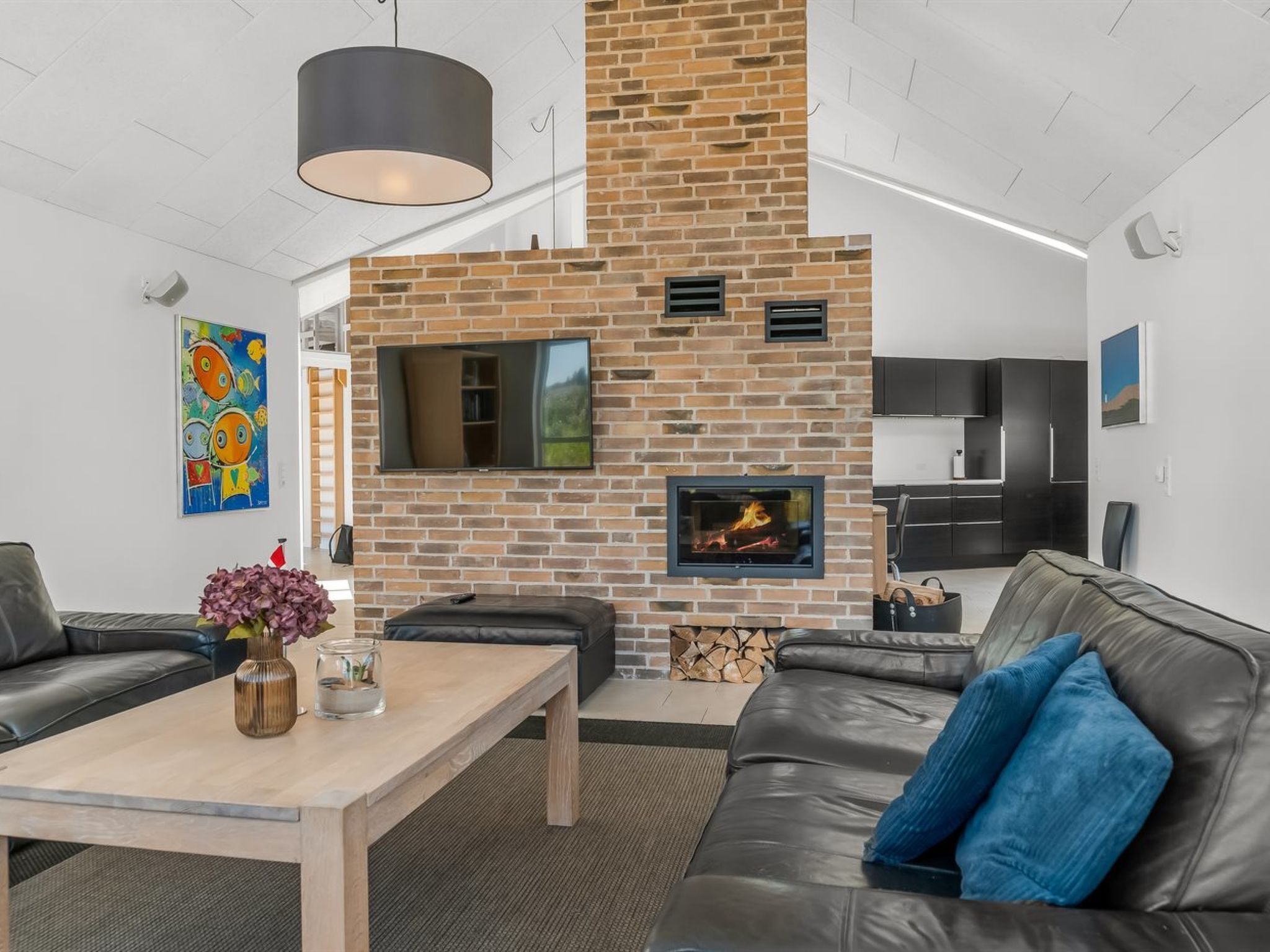 Télévision, cheminée, lecteur de DVD