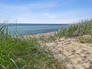 A sandy beach with tall grass in the foreground and a clear blue sea in the background. - "Huanca" - 500m from the sea by Interhome (Nexø)