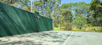 Quiet Hinterland Studio near Robina
