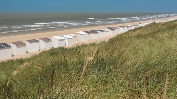 A beach with white beach huts lined up along the shore, a sandy beach, and the ocean in the background. - Beautiful private villa for 4 people with WIFI, TV and terrace (Bruges)