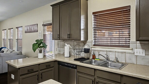 A kitchen with a dishwasher, double sink, and a potted plant.