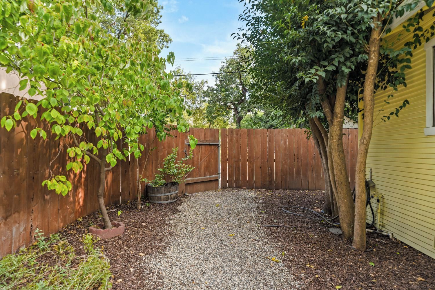 A backyard with a gravel path, a wooden fence, and a tree.