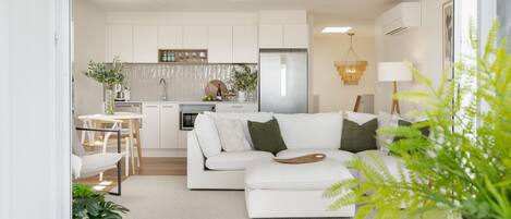 Televisio, takka, kirjoja, stereot