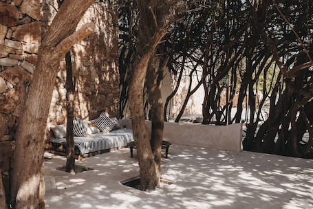 Extérieur. Surfiscamp