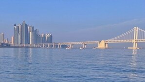 A waterfront view with a bridge and modern buildings in the background.