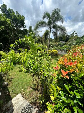 Jardín