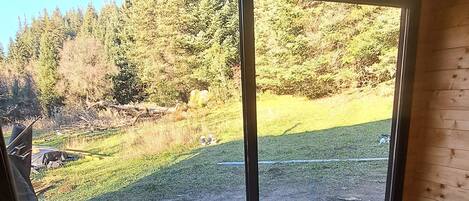 Cabin, River View | Mountain view