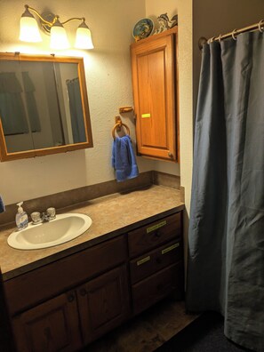 Shower, hair dryer, towels, toilet paper - Beautiful 2-bedroom studio with AC in enjoyable Burneyville (Burneyville)