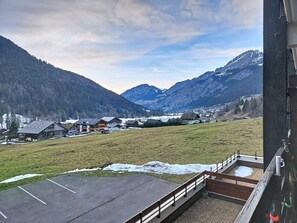 Property grounds - Cozy apartment with balcony, parking and pets allowed (La Chapelle-d'Abondance)