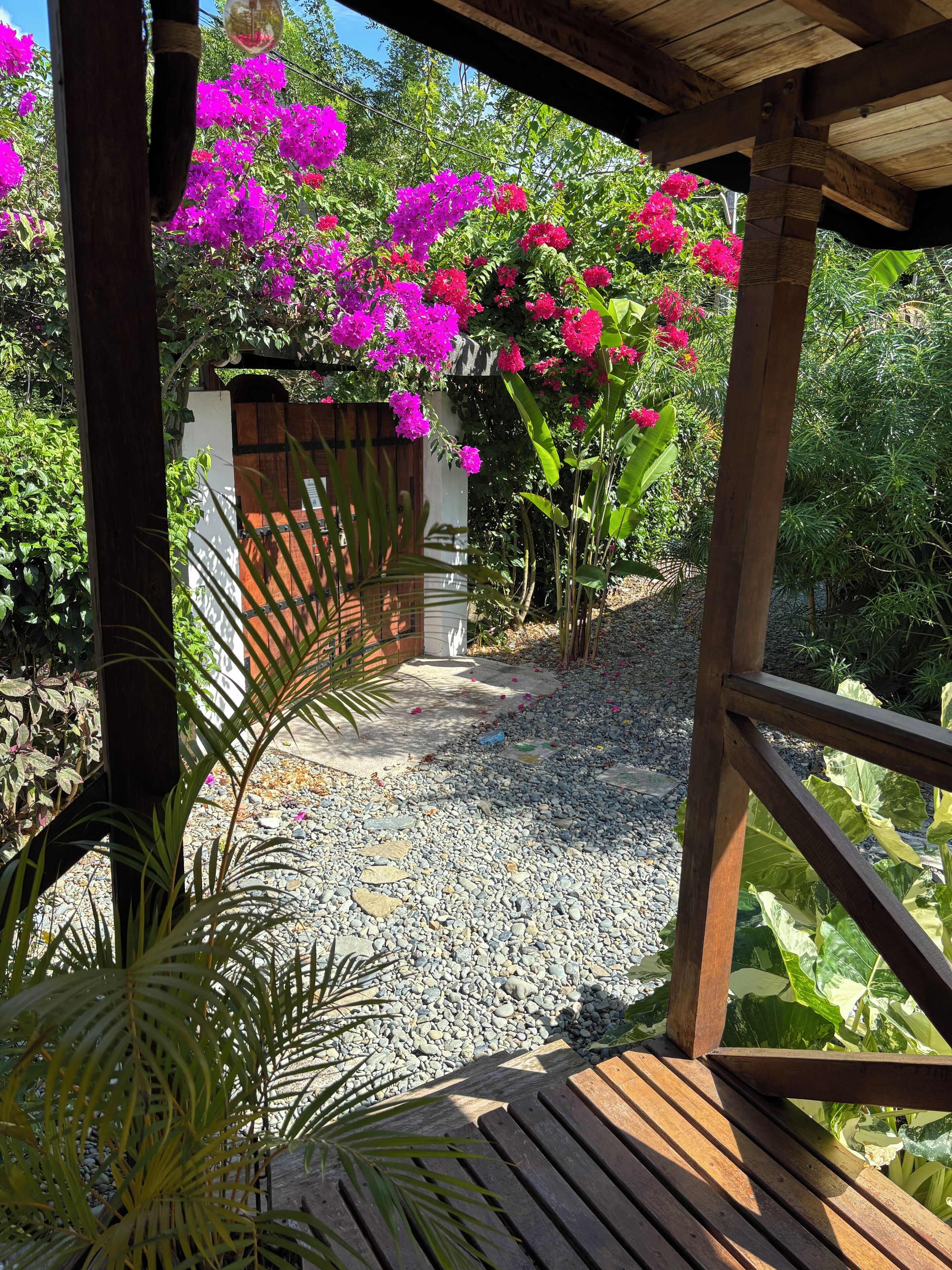Terraza o patio
