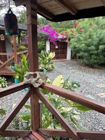 小屋, 阳台, 花园景观 | 露台