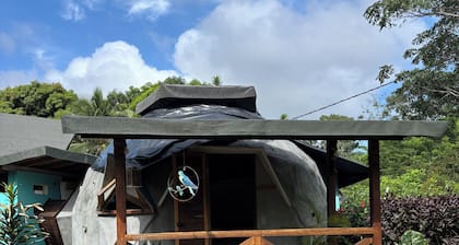 Mi casa es tu Casa