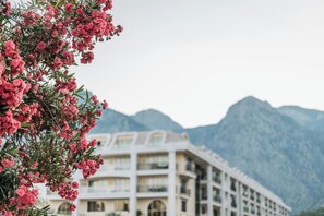 Exterior - Test property > internal > do not Return to Lead (prague)