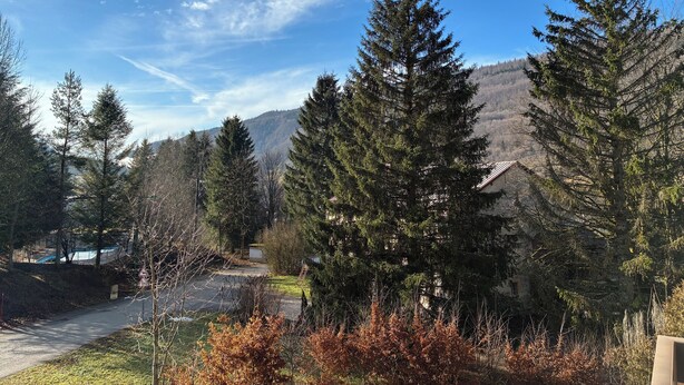 A residential area with tall evergreen trees, a paved driveway, and a mountain backdrop.