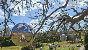 Een park met kale takken en reflecterende bollen.