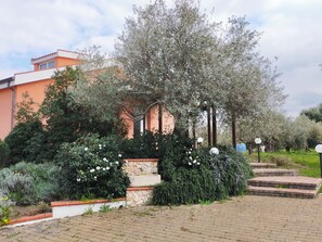 Terrain de l’hébergement 