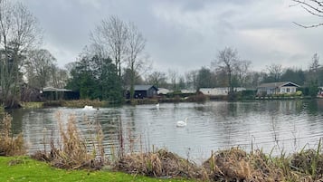 Mobile Home, 3 Bedrooms, Smoking, Patio | Property grounds