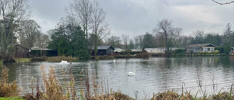 Husvogn, 3 soverom, røyk, terrasse | Overnattingsstedets uteområder