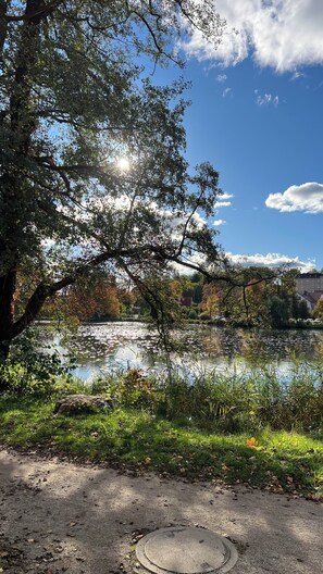 Overnatningsstedets område