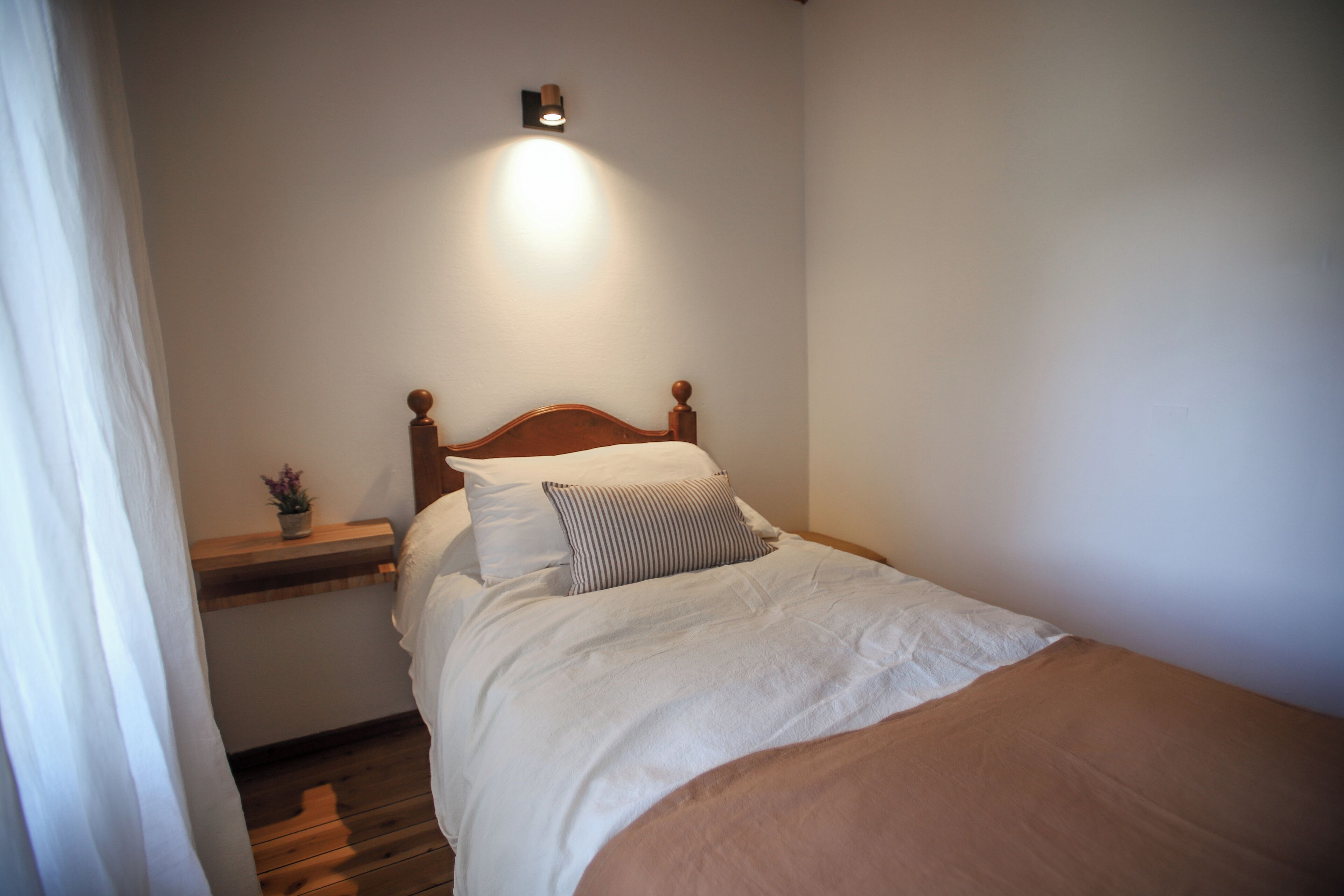 Una cama bien hecha con cabecera de madera, una mesita de noche con una planta pequeña y una lámpara fijada a la pared.