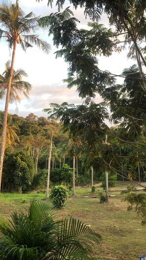 Exterior - THE SUN HOMESTAY (Ko Kood)