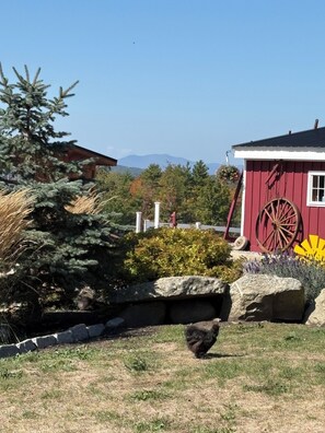Property grounds - Adorable New 2-bedroom lake house in West Newfields, with Lake access. (West Newfields)