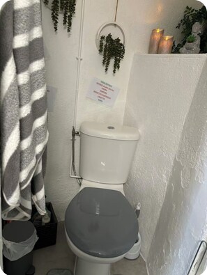 Shower, hair dryer, towels, toilet paper - Cosy country house (Pré-en-Pail-Saint-Samson)