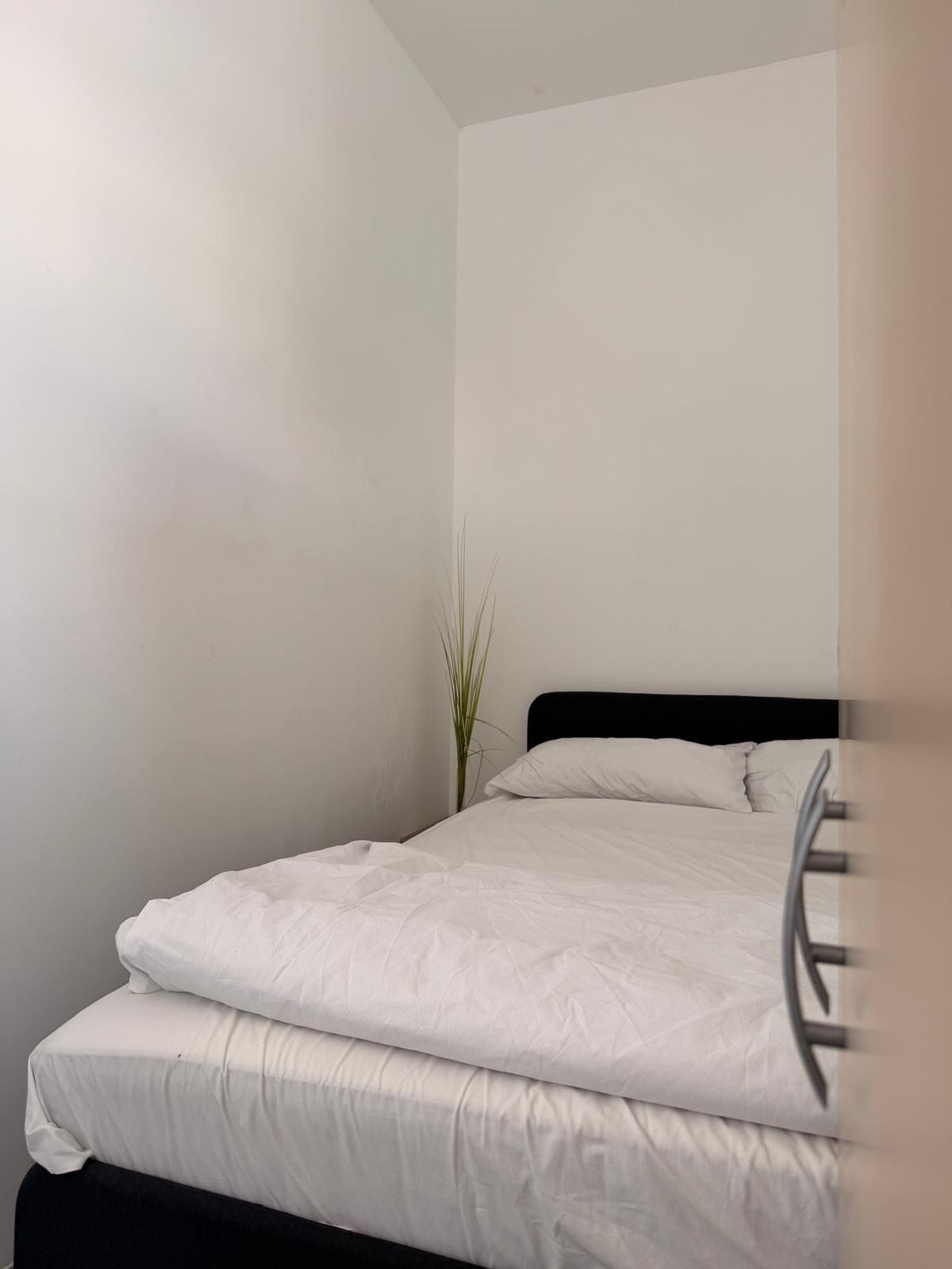 Basic-Doppelzimmer, 1 Doppelbett | Bettwäsche aus ägyptischer Baumwolle, hochwertige Bettwaren