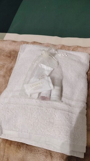 Shower, hair dryer, bidet, towels - Agae house (Fiumicino)
