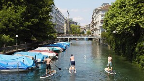 A canal with boats docked on the left, a bridge in the background, and people paddleboarding.