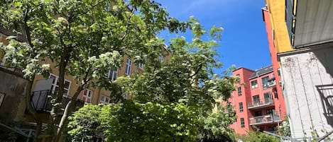 Apartment, 1 Bedroom | Property grounds