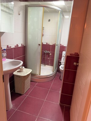 Standard Apartment | Bathroom | Shower, hair dryer, towels, soap - Valentina (Tokat)
