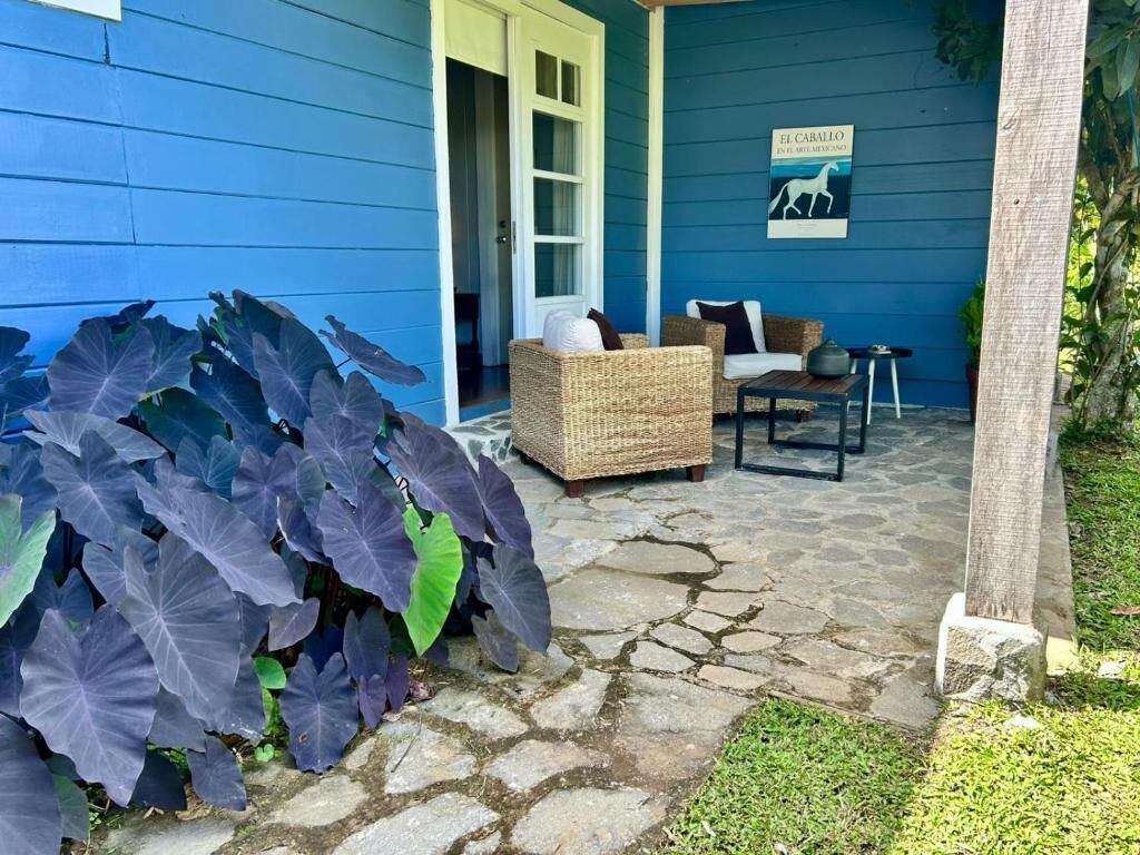 A blue exterior with a stone patio, wicker furniture, and large purple-leafed plants.