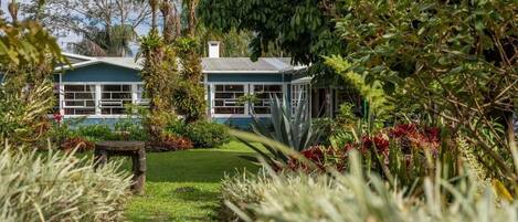 A house with a blue exterior, surrounded by lush greenery and a well-maintained garden.