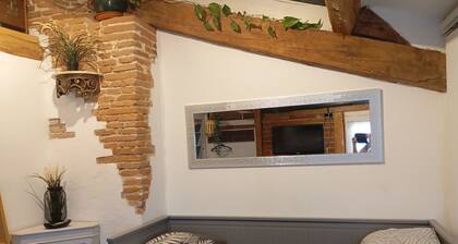 Charmant studio coeur de Toulouse