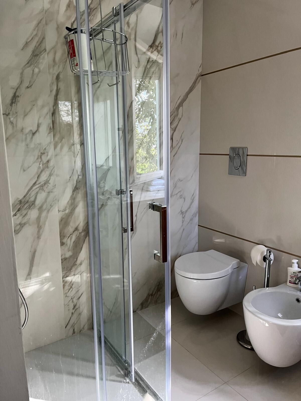 Shower, hair dryer, bidet, towels