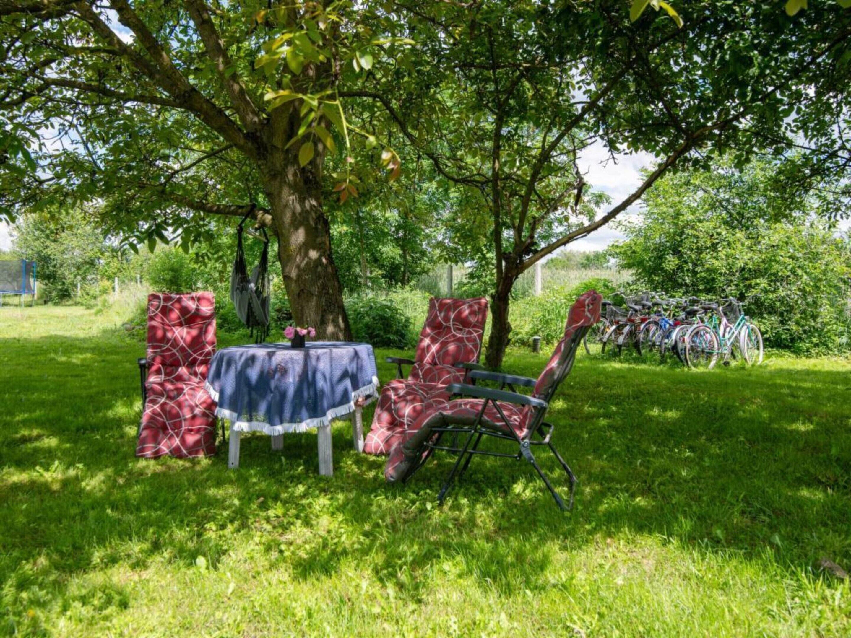 An outdoor seating area with a table and chairs under a tree, surrounded by greenery.