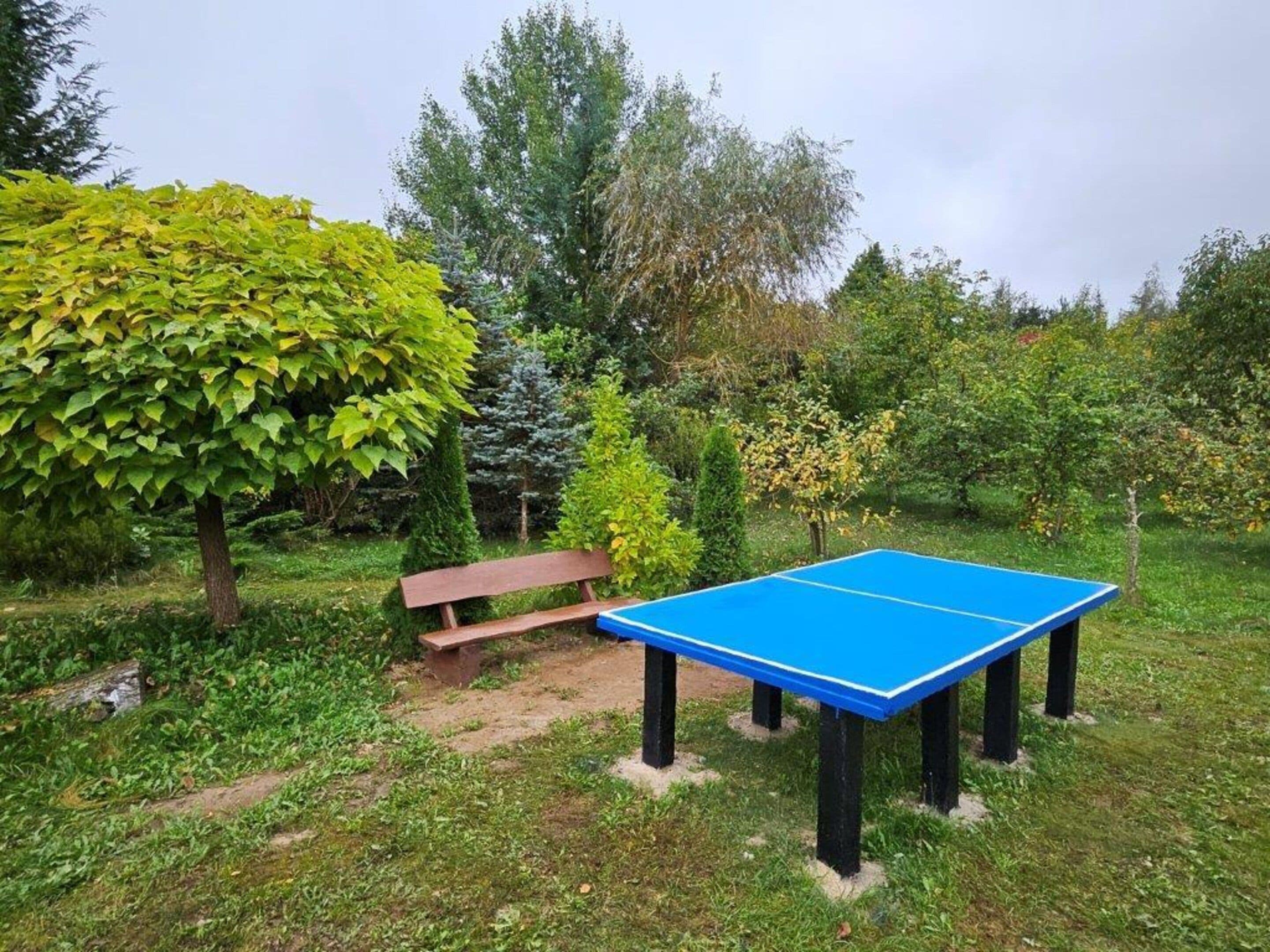 An outdoor ping pong table with a bench nearby, surrounded by greenery and trees.