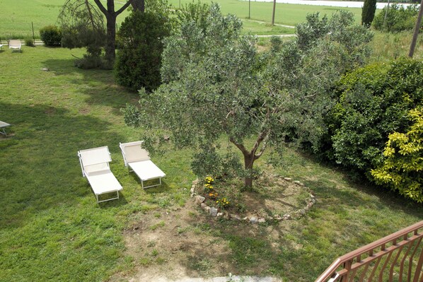 Exterior - Villa Orta - Agriturismo Vegan (Piombino)