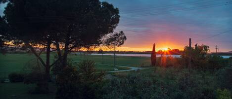 A sunset over a grassy field with trees and power lines.