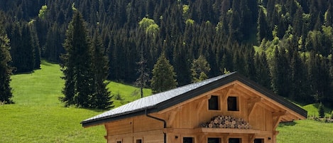 Ulkopuoli