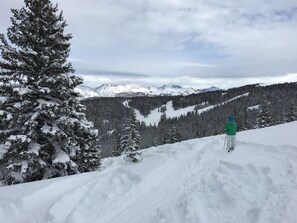 Wintersport/Ski
