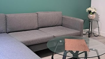 Departamento básico | Área de sala de estar | Televisión LCD de 40 pulgadas con canales vía satélite