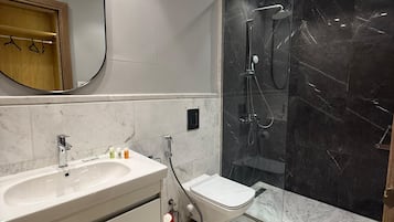 Shower, hair dryer, bidet, towels