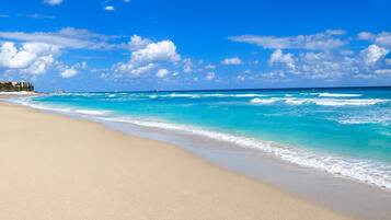Una spiaggia nelle vicinanze