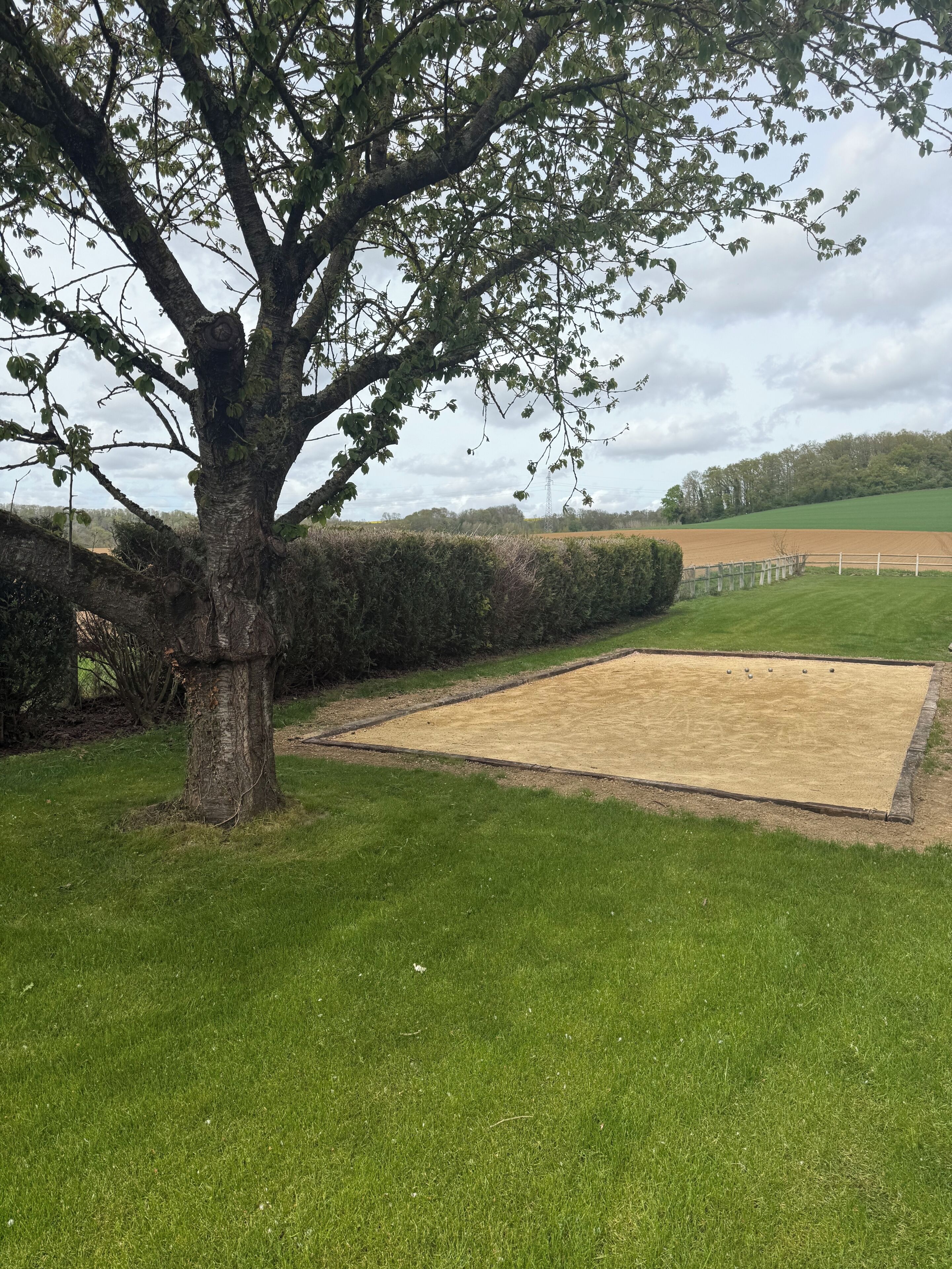 Une zone herbeuse avec un grand arbre et un terrain de croquet.