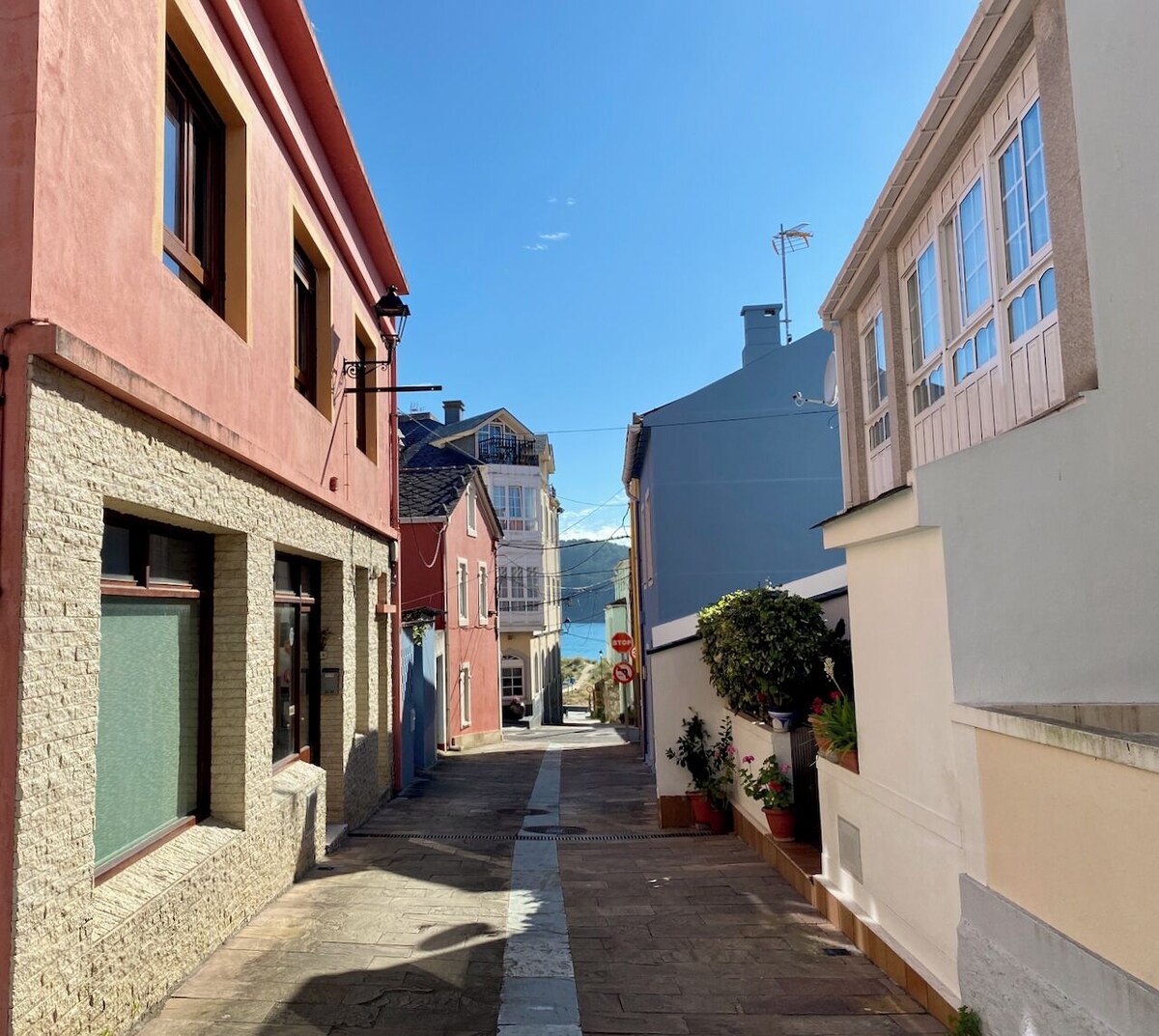 Imagen de perfil del propietario o de la propietaria