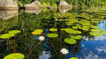 Ulkoalueet