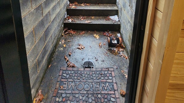A wet staircase with a brick wall on one side and a wooden wall on the other, leading to a door with a metal grate. - Cozy 1-bedroom bunk style apartment Game Rm/Gym/Stream in historic McDowell! (McDowell)