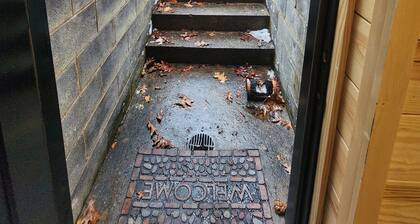 Cozy 1-bedroom bunk style apartment Game Rm/Gym/Stream in historic McDowell!